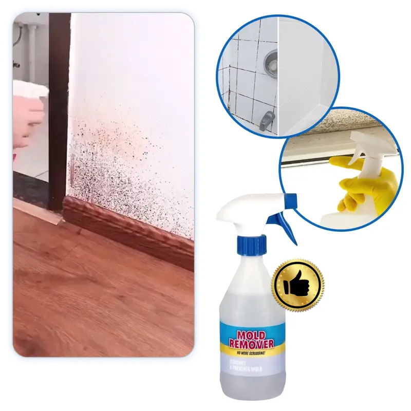 Moldguard – Σπρέι για την αφαίρεση μούχλας και την μόνιμη εξάλειψη της μούχλας στο σπίτι