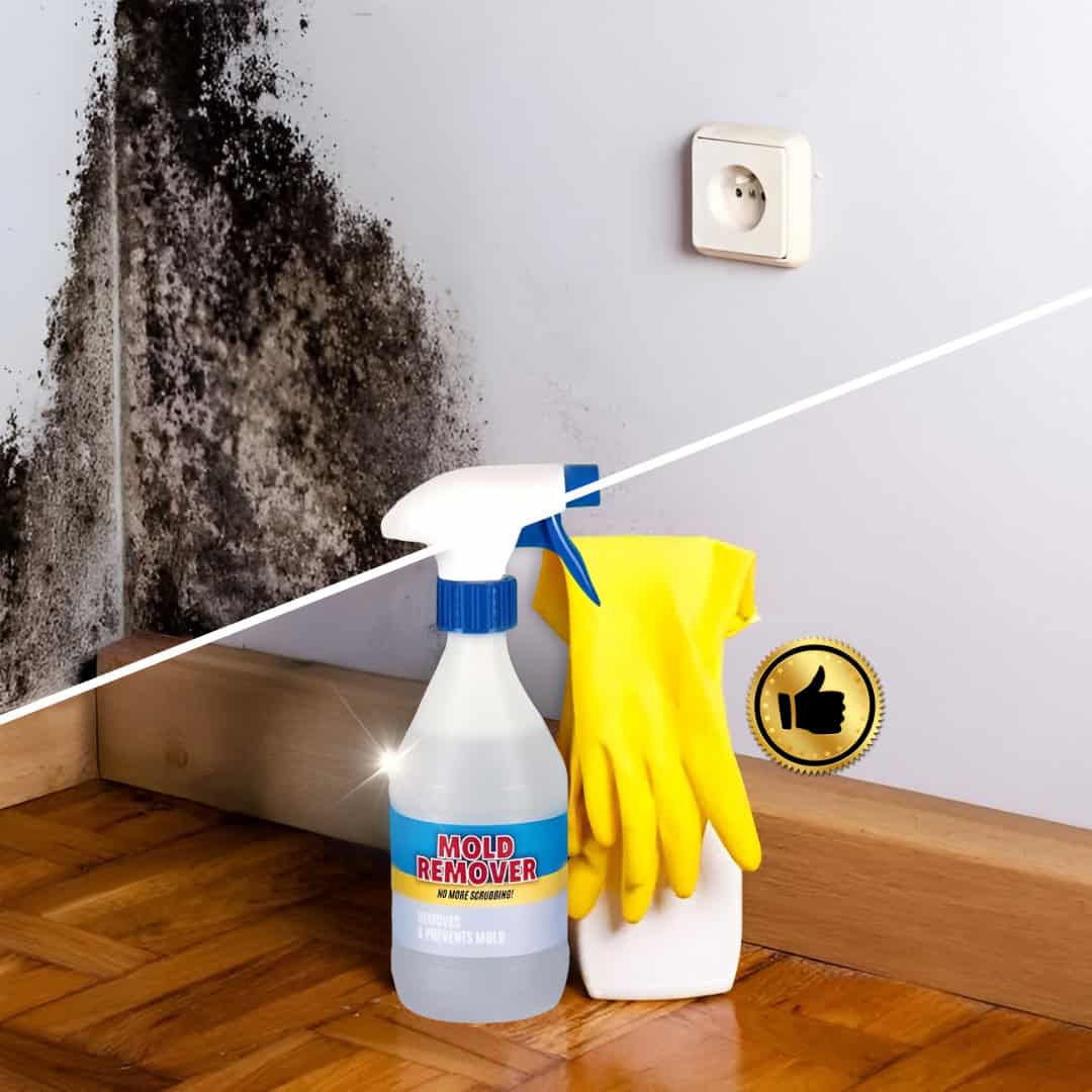 Moldguard – Σπρέι για την αφαίρεση μούχλας και την μόνιμη εξάλειψη της μούχλας στο σπίτι - Image 5