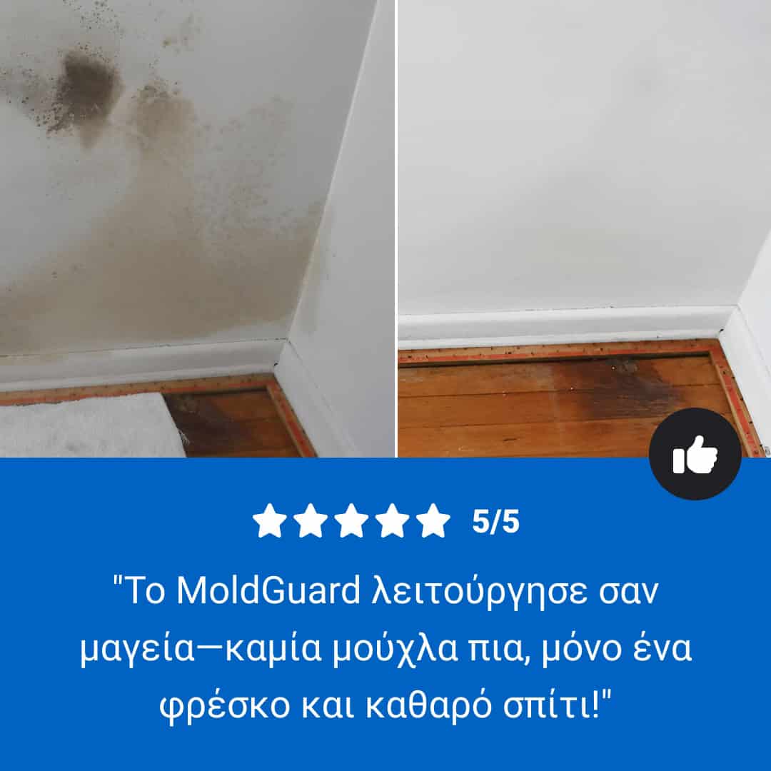 Moldguard – Σπρέι για την αφαίρεση μούχλας και την μόνιμη εξάλειψη της μούχλας στο σπίτι - Image 8